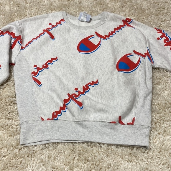 Gray Champion Logo crew neck cotton sweater, size medium - Picture 3 of 10